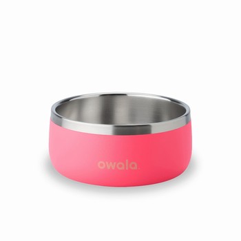 Owala 3 Cups Pet Bowl Pink | IHJDUZ601